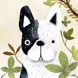 西班牙插画师笔下各种呆萌的小动物,蠢萌蠢萌哒