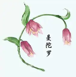 趣闻丨这群医学生,因为画画火了