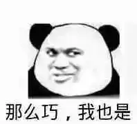 阿米尔汗挥泪推荐小萝莉的猴神大叔元宵与你有爱同行