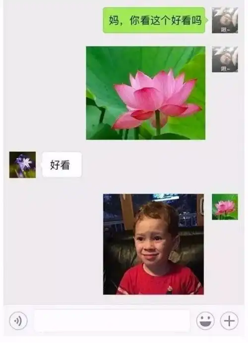 因微信头像太丑要断绝母女关系说说父母吐槽自己微信头像之事
