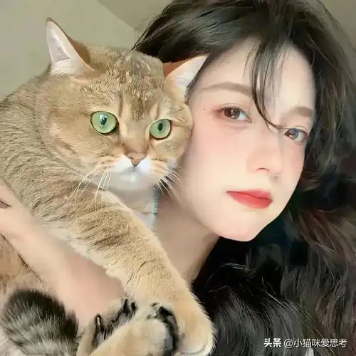 不屑合群的星座,十分的聪明
