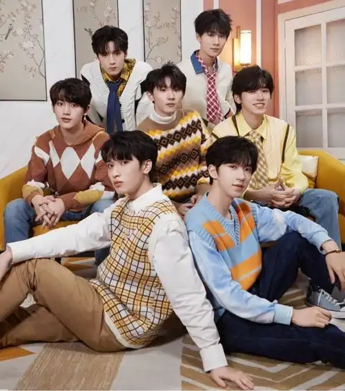 tf家族