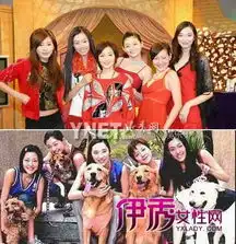 杨幂获赞中国好闺蜜娱乐圈真假闺蜜大揭秘