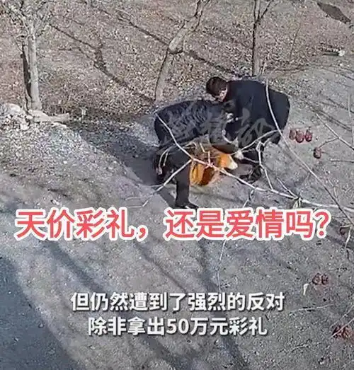 银川男孩拿不出50万彩礼,相恋6年女友被强行拖走,自己被殴打