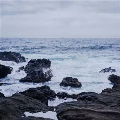 微信有意境唯美风景静态头像2018跟我走吧我盯上你了