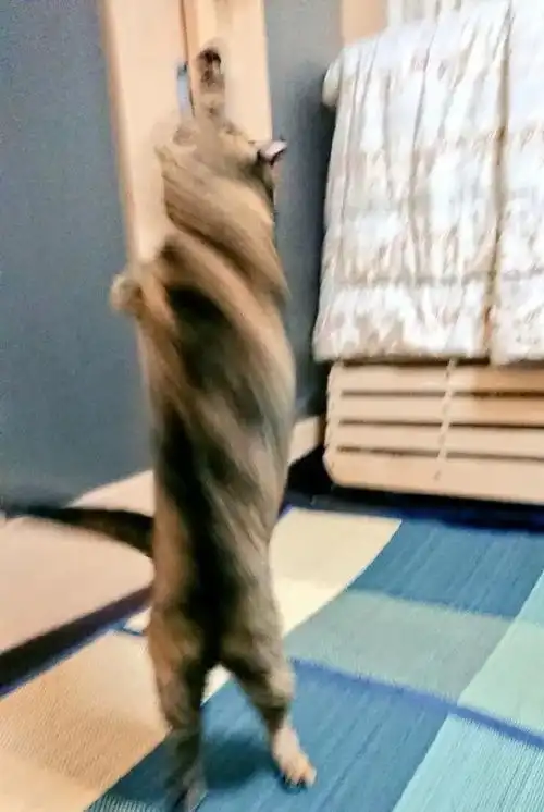 当女友想出去玩,而你不愿意陪她下楼时