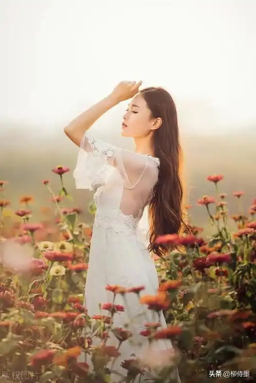 完美的背影