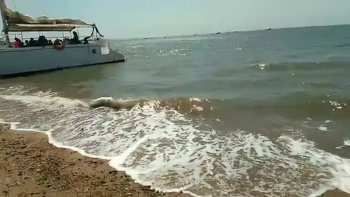 葫芦岛海滨偶遇孙悟空牵着白龙马,师傅和师弟去哪里了